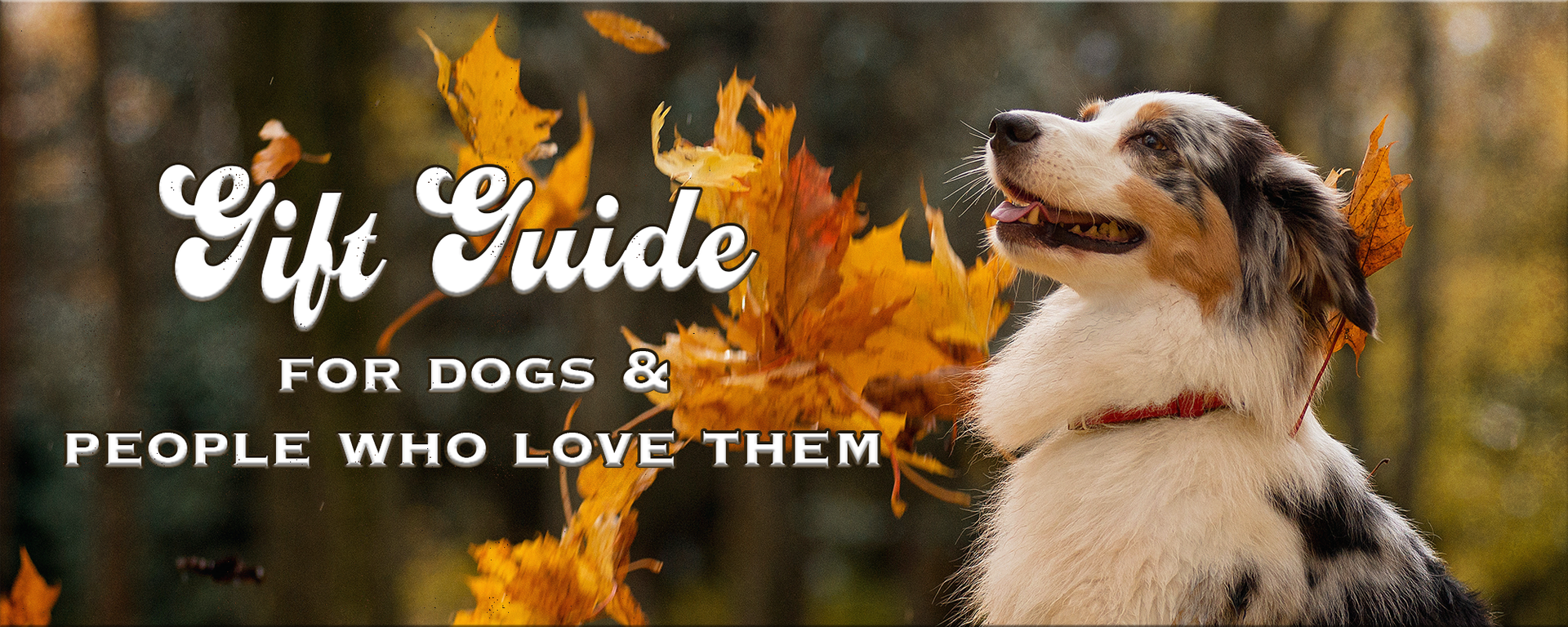 Gift Guide for dog lovers with australian shepherd and autumn maple leaves falling