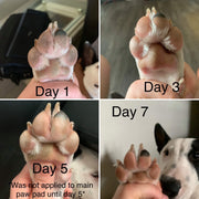 vaya con doggos paw balm before and after soothing results on dry paw pads