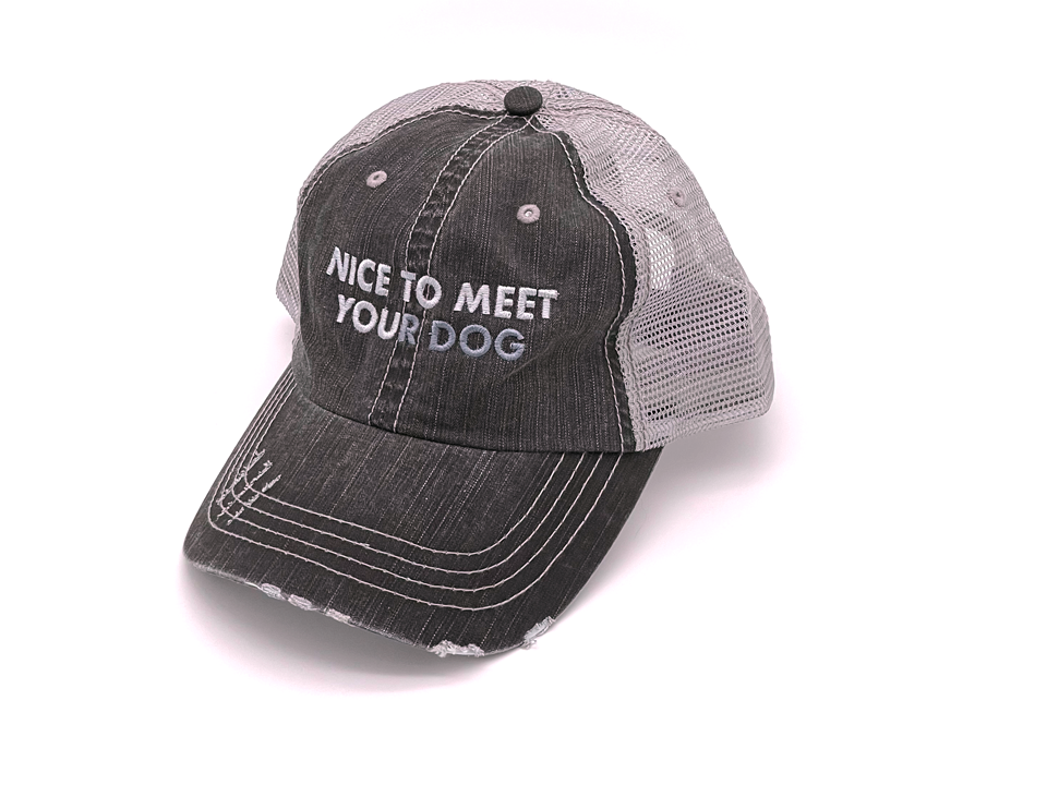 Nice to Meet Your Dog Hat