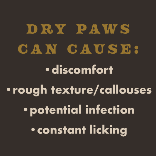 Dry paws can cause discomfort, rough texture or callouses, potential infection and constant licking of paws